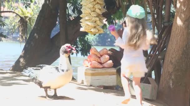 Hombre vendiendo palomitas de maíz en la calle junto al lago — Vídeos de Stock