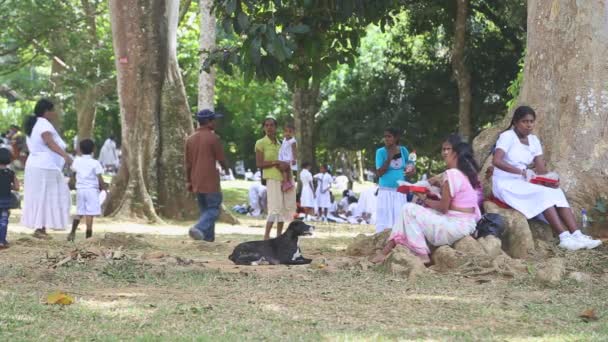 Lokale schoolmeisjes eten hun lunch in de botanische tuin — Stockvideo