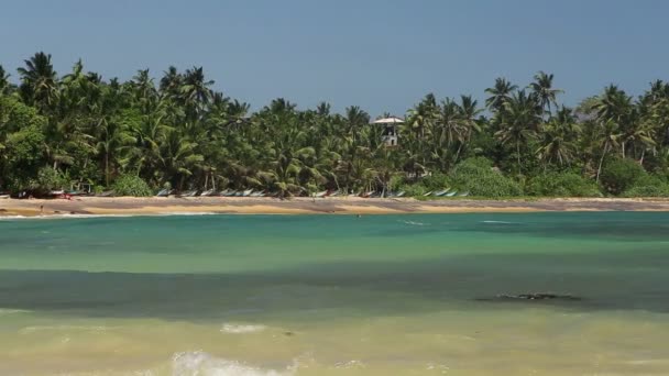 Baía de mar bonita no Sri Lanka — Vídeo de Stock