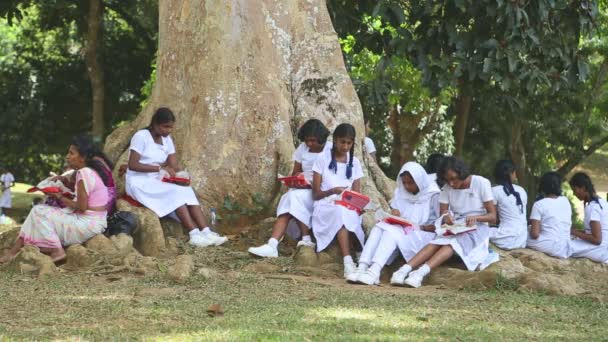 Schoolmeisjes eten hun lunch in de botanische tuin — Stockvideo