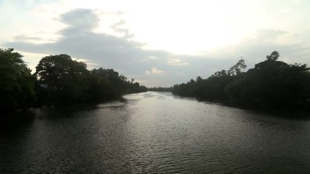 Вид на річку в Matara, Шрі-Ланка. — стокове відео