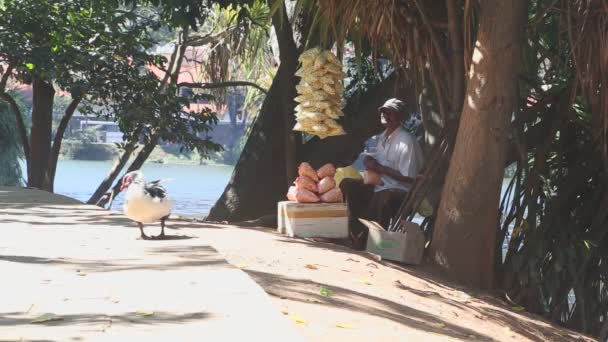 Hombre vendiendo palomitas de maíz en la calle junto al lago — Vídeo de stock