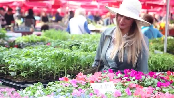 Frau riecht Blumen auf Markt — Stockvideo