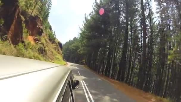 ミニバンを運転から熱帯の風景 — ストック動画