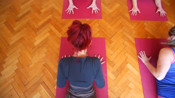 Mujeres haciendo yoga en alfombras de goma — Vídeos de Stock