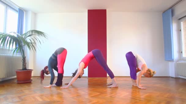 Kvinnor gör akrobatiska yoga i hall — Stockvideo