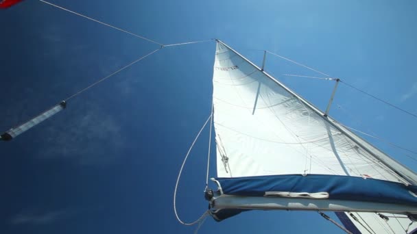 風に浮かぶ帆 — ストック動画