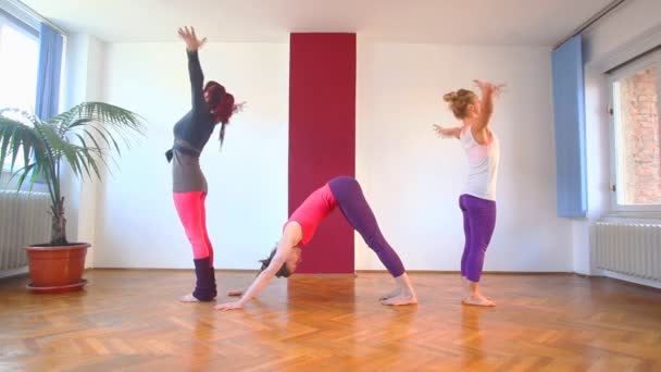 Drei Frauen beim akrobatischen Yoga — Stockvideo