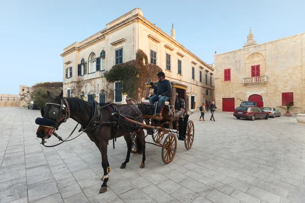 Carrozza turistica — Foto Stock