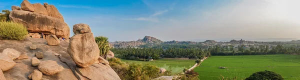 Panorama of rice paddy — Stock Photo, Image