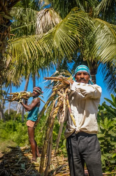 Trabalhadores indianos — Fotografia de Stock