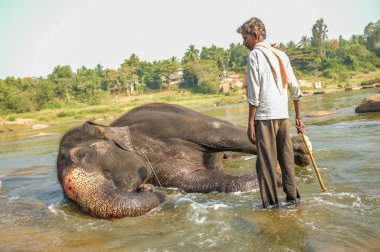 Resul Tapınağı fil eğitmeni