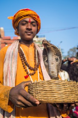 Indian boy holds cobra in basket clipart