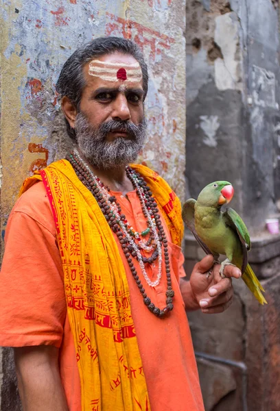 Індійський чоловік тримає папуга — стокове фото