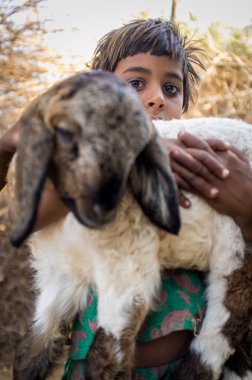 girl in stable with small lamb