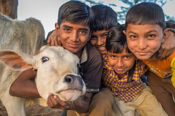 Boys from Rabari tribe and calf pose — Stock Photo, Image