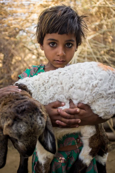 Girl in stable with small lamb — Stockfoto