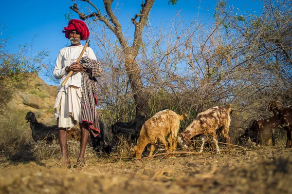 Tribesman indiano detém machado tradicional — Fotografia de Stock