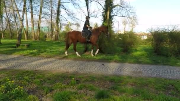 Reiten auf einem Pferd — Stockvideo