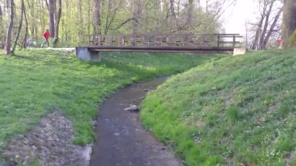 Man and child running — Stock Video