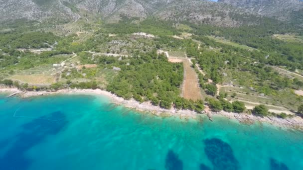 Türkisfarbenes Meer in bol — Stockvideo