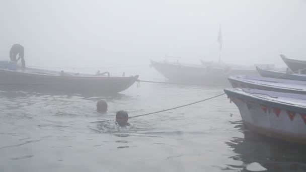 Les hommes nagent dans la rivière Ganges — Video