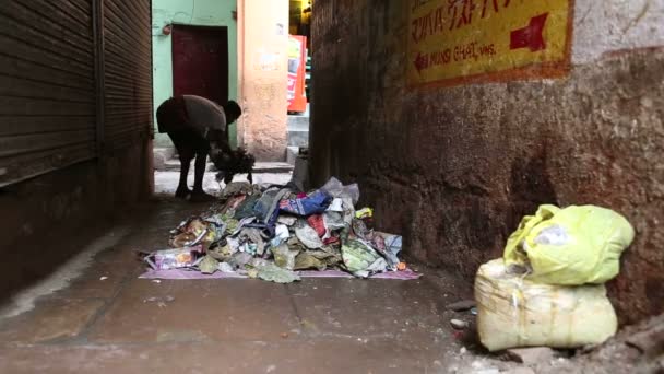 Человек собирает отходы в открытом мешке — стоковое видео