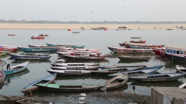 Bateaux ancrés dans la baie — Video