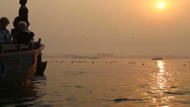 Hombre remando por el Ganges — Vídeos de Stock