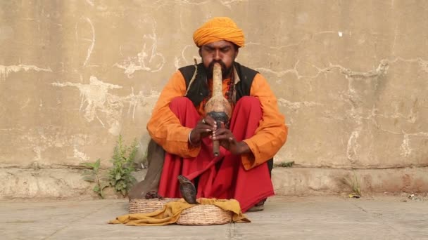 Indisk man hypnotising en orm — Stockvideo