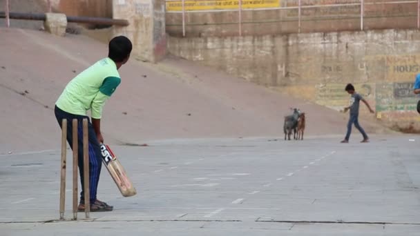 Chicos jugando cricket — Vídeos de Stock