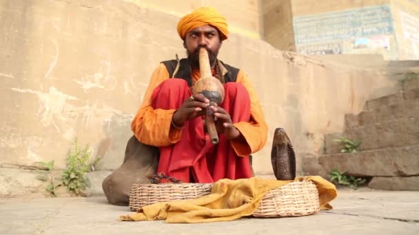 Індійський чоловік hypnotising змія — стокове відео