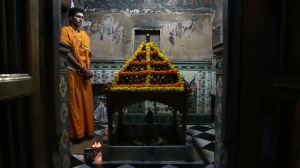 Hindu man praying — Stock Video