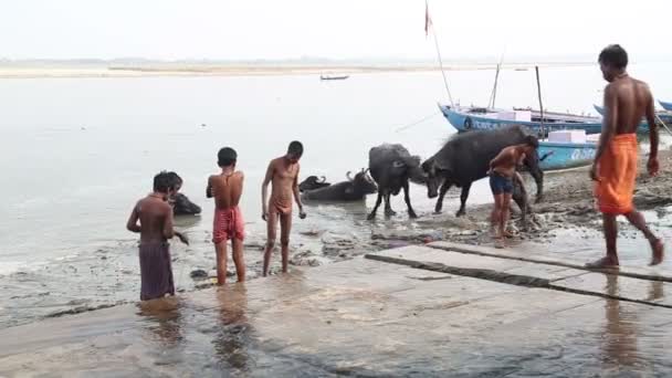 Gruppo di ragazzi che giocano con l'acqua — Video Stock