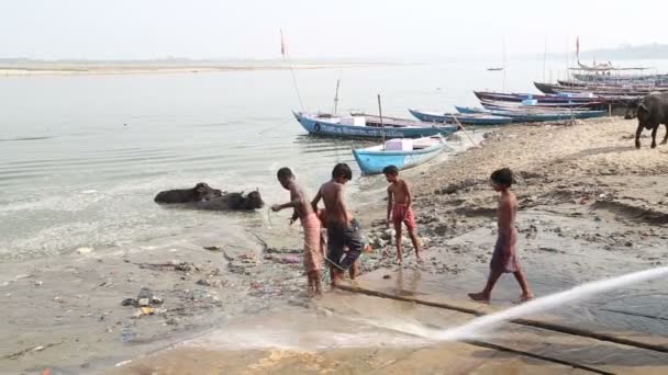 물으로 재생 하는 소년의 그룹 — 비디오