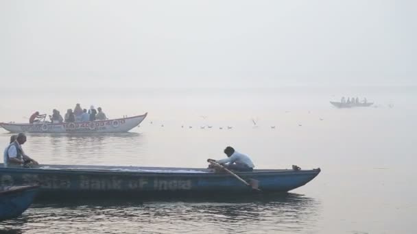 Boats with men rowing and passengers sitting — Stock Video