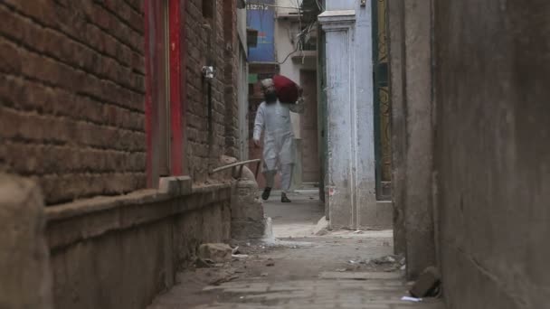 Man carrying a sack — Stock Video