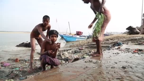 Ragazzi che giocano con l'acqua dal tubo — Video Stock