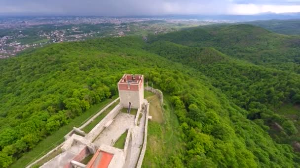 Medvedgrad wieża z lasu wokół niego — Wideo stockowe