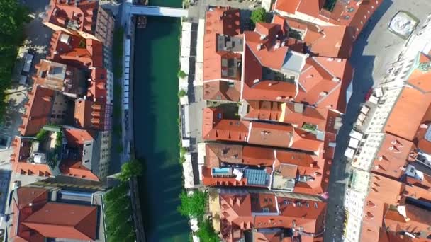 Ljubljana Ljubljanica nehrinde — Stok video