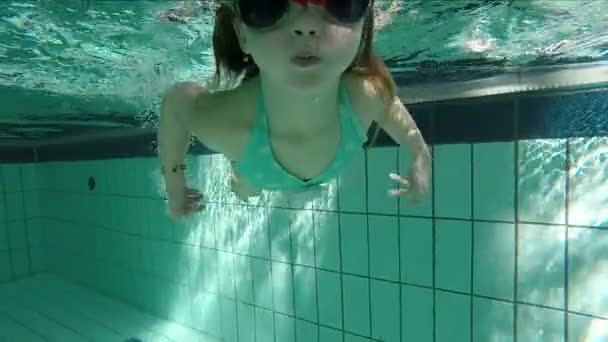 Mädchen schwimmt im Pool — Stockvideo