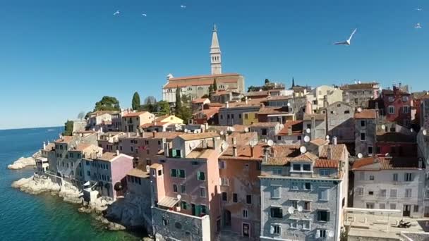 镇和大海环绕着罗维尼 — 图库视频影像