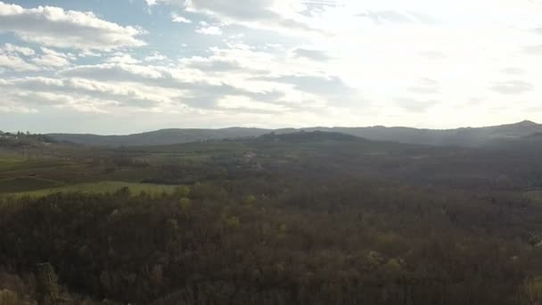 Belle vue sur la forêt et le soleil caché — Video