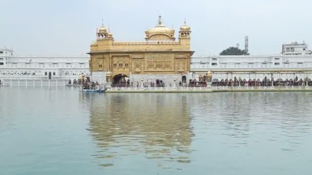 Templo dourado em Amritsar — Vídeo de Stock