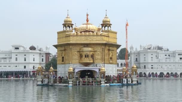 Templo dourado em Amritsar — Vídeo de Stock