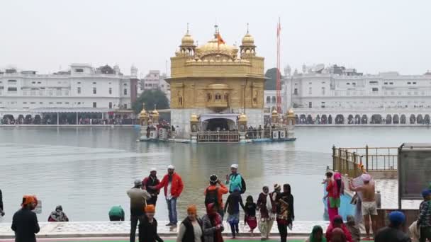 Golden temple in Amritsar — Stock Video