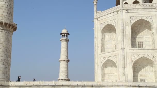 Taj Mahal sidovägg och tornet — Stockvideo