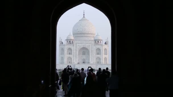 Taj mahal fasáda — Stock video