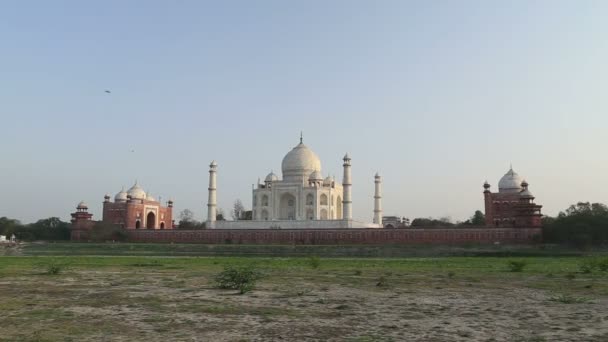 Visa på Taj Mahal i avstånd — Stockvideo