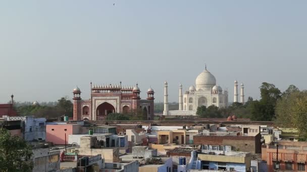 Agra, Taj Mahal — Stok video